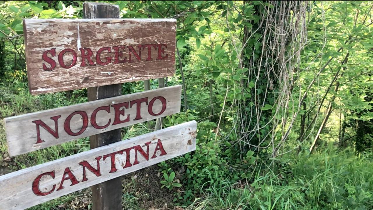 Agriturismo Eco-Bio Villa Vacasio 피틸리아노 외부 사진