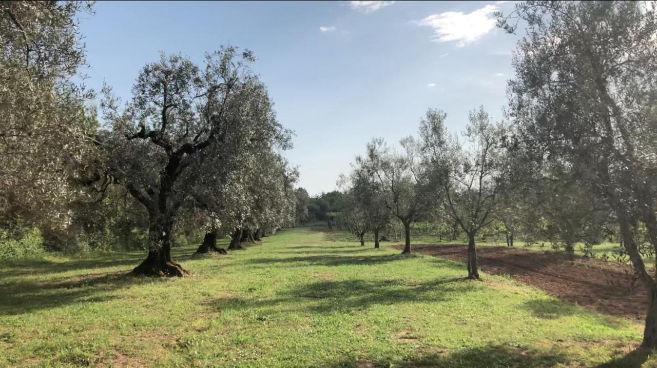 Agriturismo Eco-Bio Villa Vacasio 피틸리아노 외부 사진